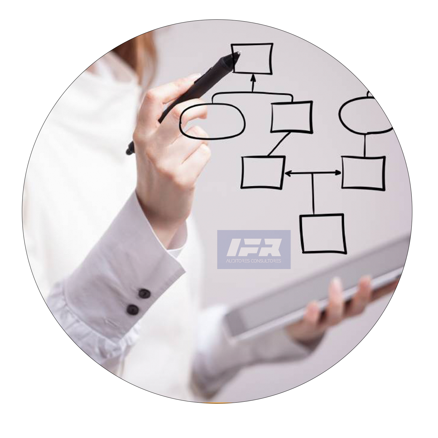 AUDITORIAS DE PROCESOS CRITICOS